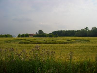 cerchi