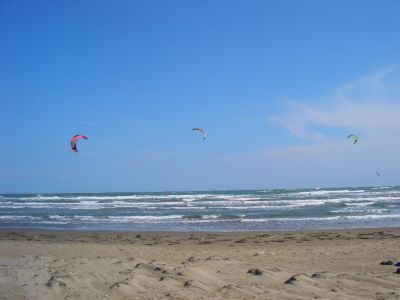 cerchi