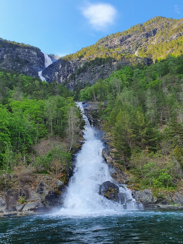 Norvegia