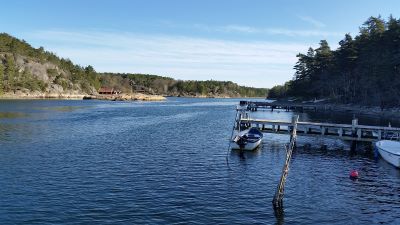 svezia